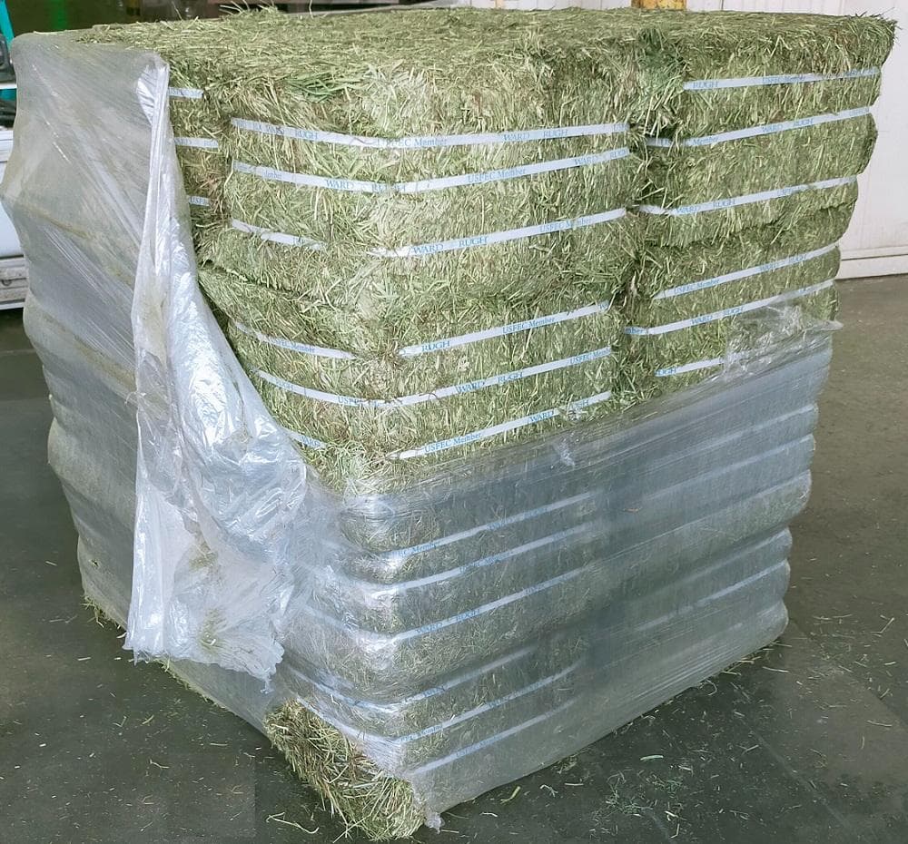 【12/30まで】US産 チモシー 100kg ２番刈り ソフトSプレミアム