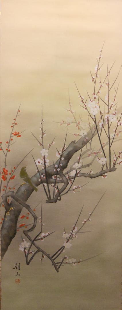 掛け軸 上村朝山 作 『 紅白梅 』 絹本 希少 軸装 茶道具 掛軸 美品 です