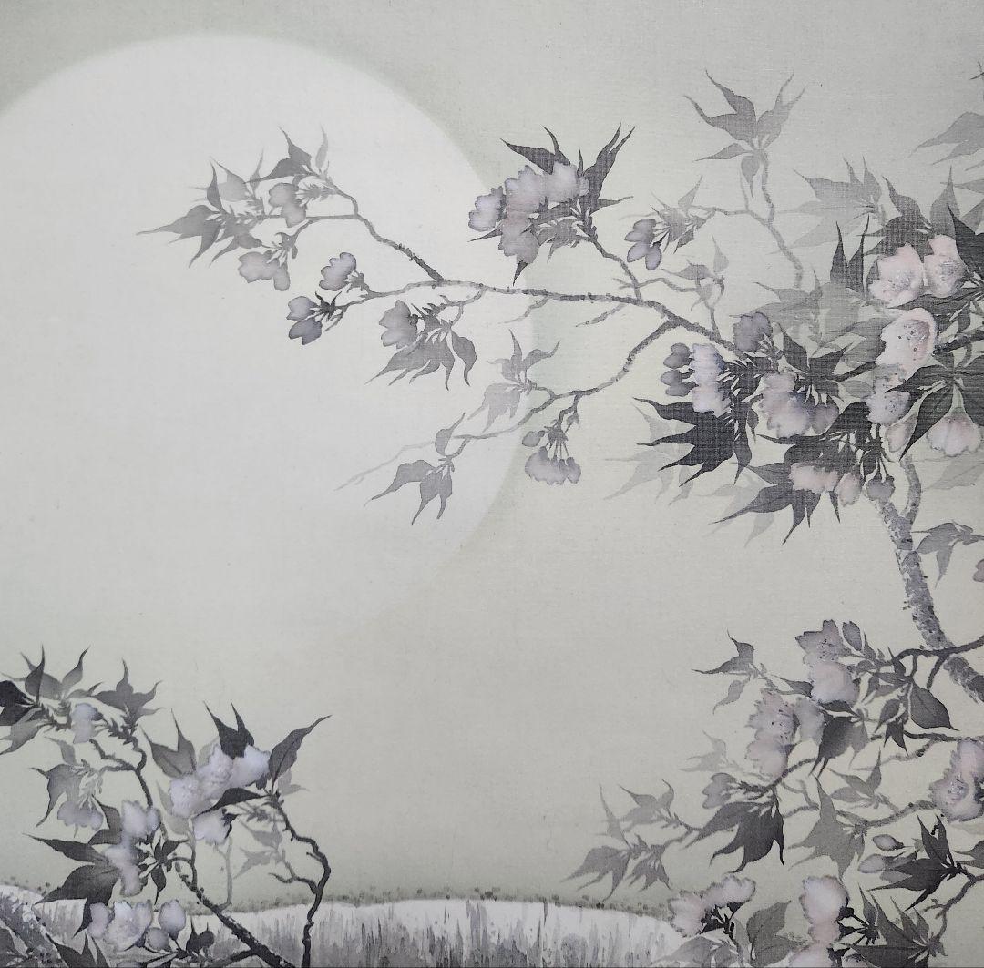 【夜桜図】智 2613 花見 月 共箱　掛け軸　肉筆