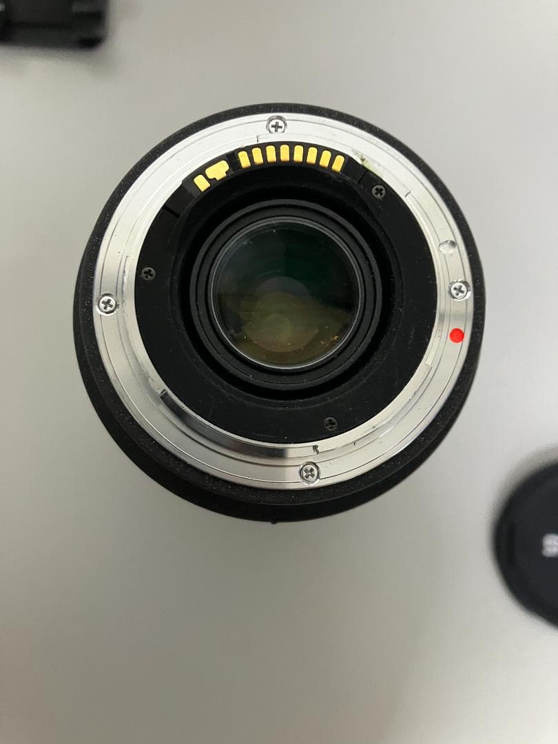 SIGMA APO 50-500mm F4-6.3 EX SONY用