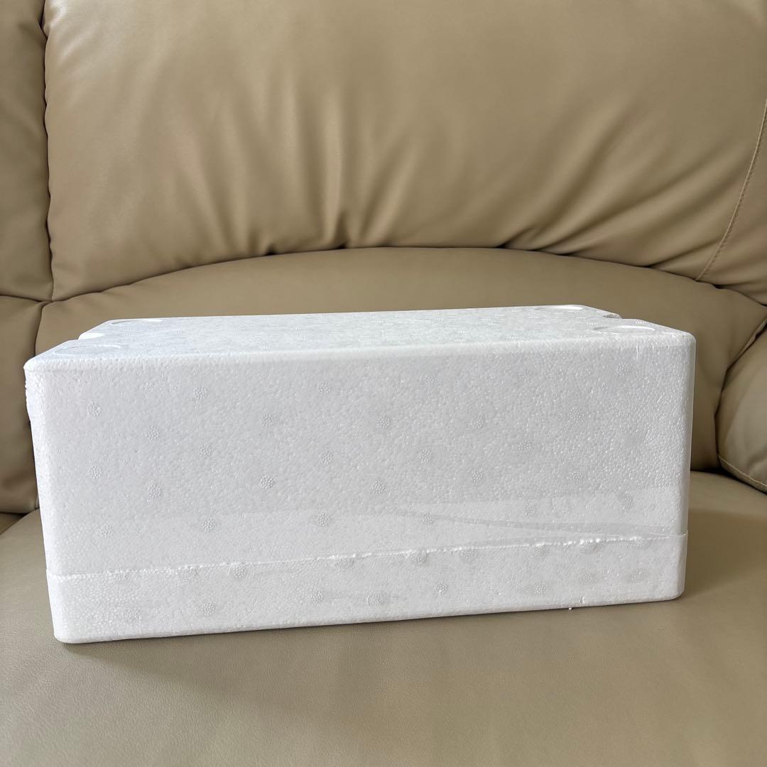 1/18 ミニチャンプス マクラーレンMCL36 D.リカルド