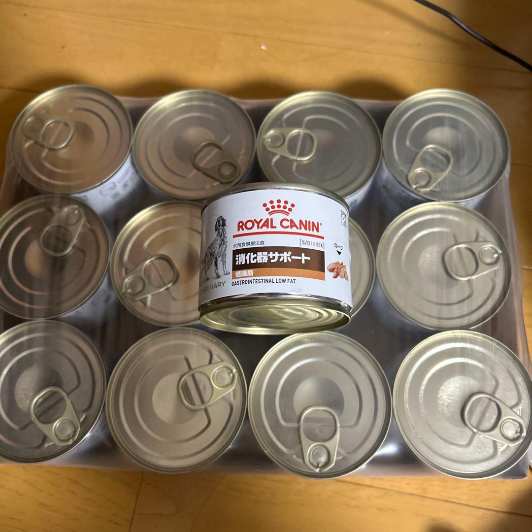  CANIN 消化器サポート 12缶セット +1缶