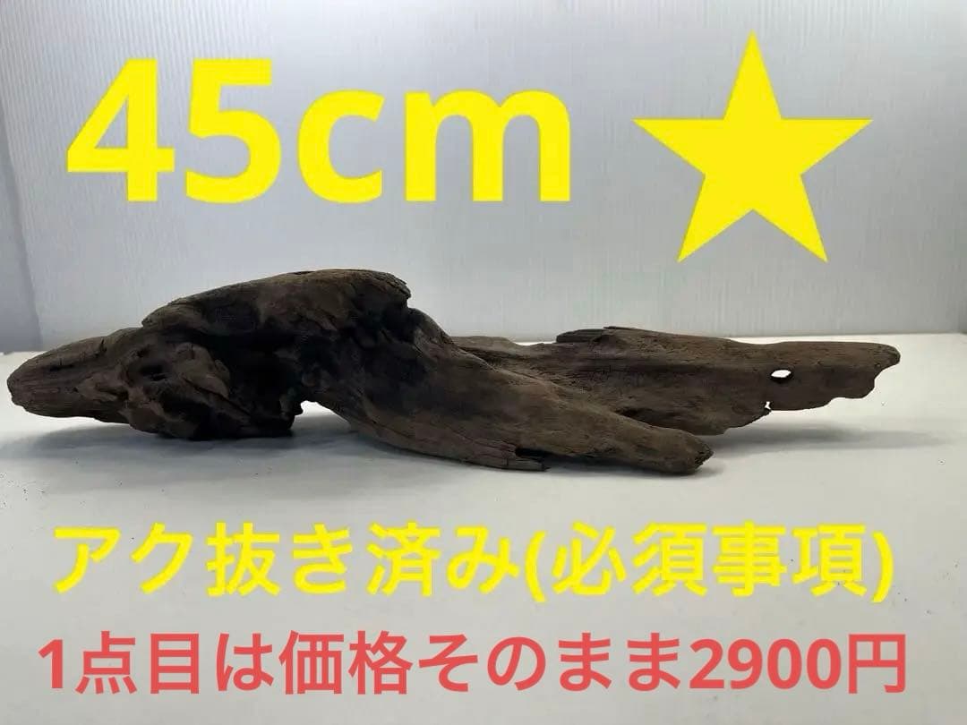 k42アク抜き済み流木 爬虫類シェルター レイアウト用 インテリア エアプランツ