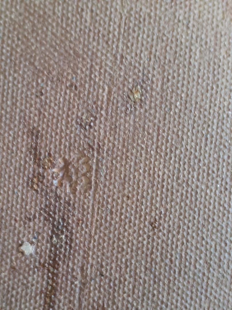 中尾哲彰作　春銀河　布目皿５客