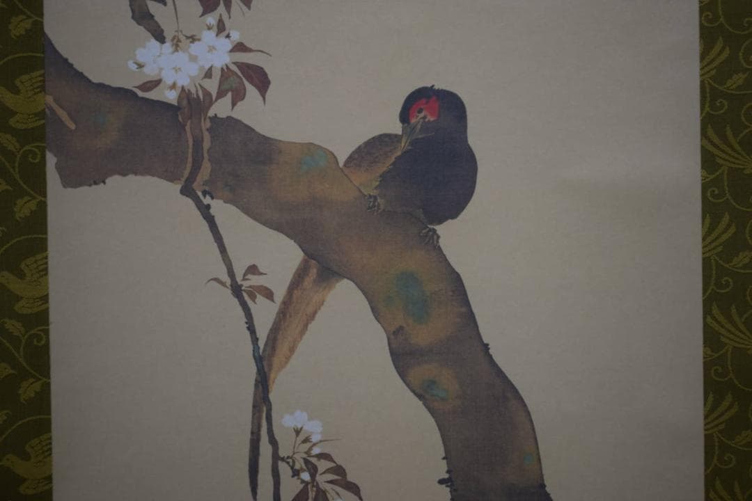 複製/酒井抱一/桜花雉子図/工芸/桐共箱付/布袋屋掛軸HH-940