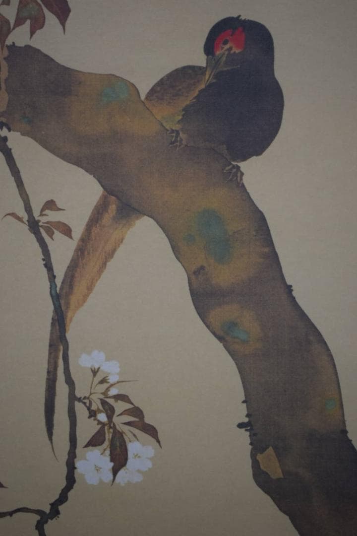 複製/酒井抱一/桜花雉子図/工芸/桐共箱付/布袋屋掛軸HH-940