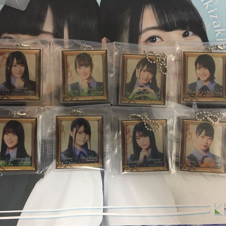 欅坂46 乃木坂46 けやき坂46 日向坂46 ザンビ 缶バッチ アクリル