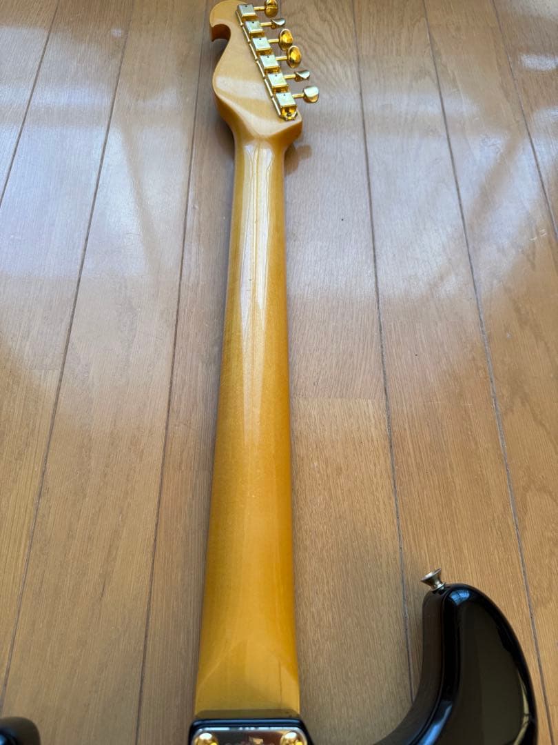 ✨レア美品中古✨Bill Lawrence OBC0 R-55G改 シャケモデル