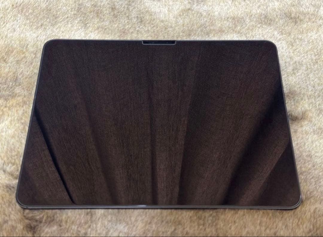 ipad pro m4 11インチ256GB