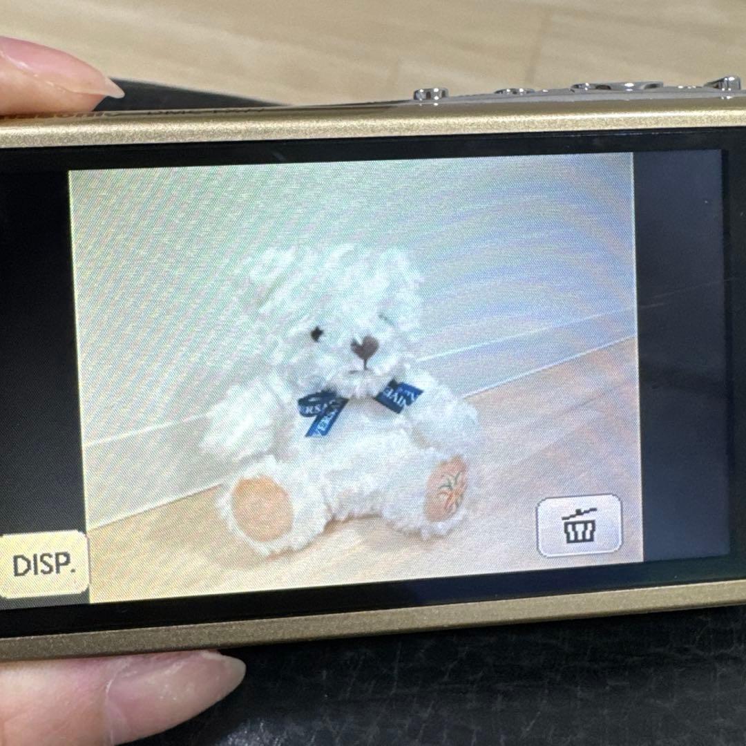 Panasonic DMC-FX77 デジカメ