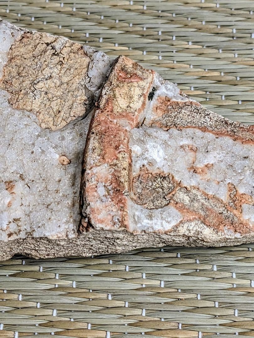 陶片　絵志野藤文鉢　桃山時代　　志野陶片　志野鉢　絵志野　桃山陶　金継ぎ