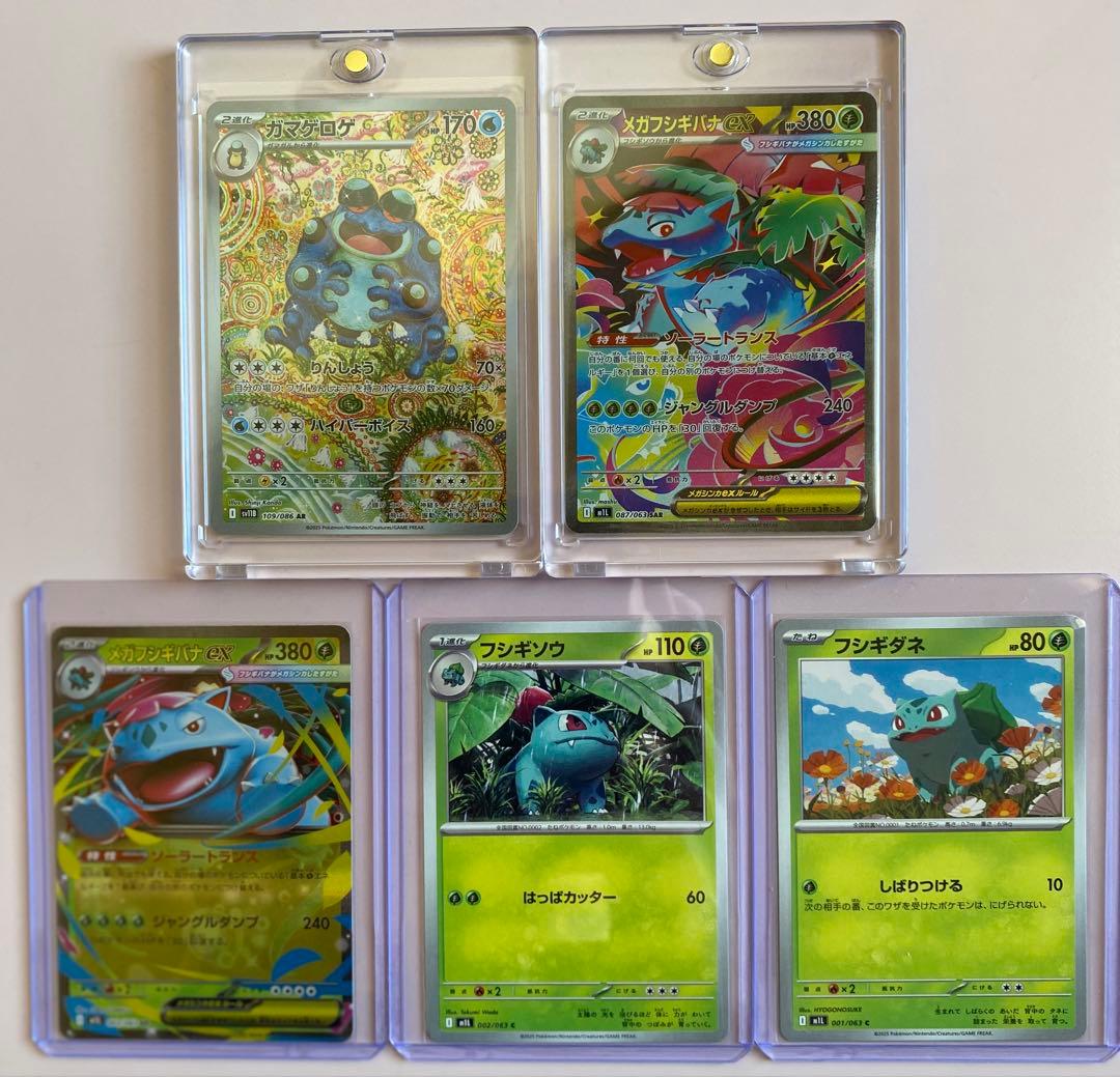 フシギバナ EX セット5枚