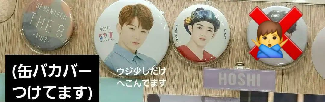 セブチ　ホシ　バラ売り可(おまけ付き)