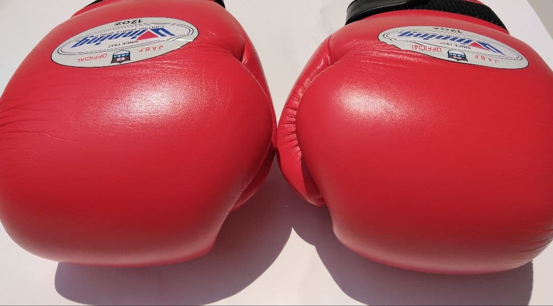 Winning ボクシンググローブ 12oz 赤