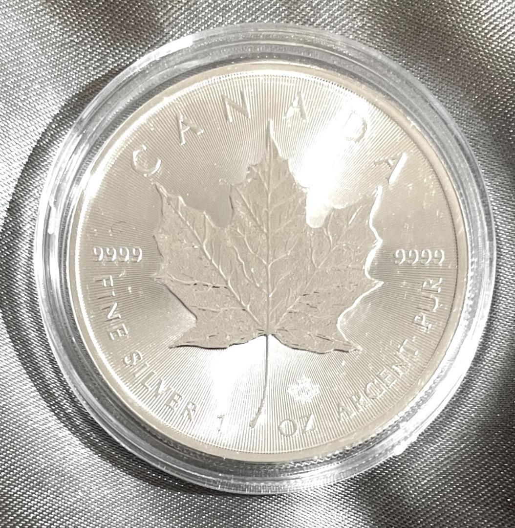 2020 カナダ メイプルリーフ 銀貨 1オンス 38mm クリアケース付きBU