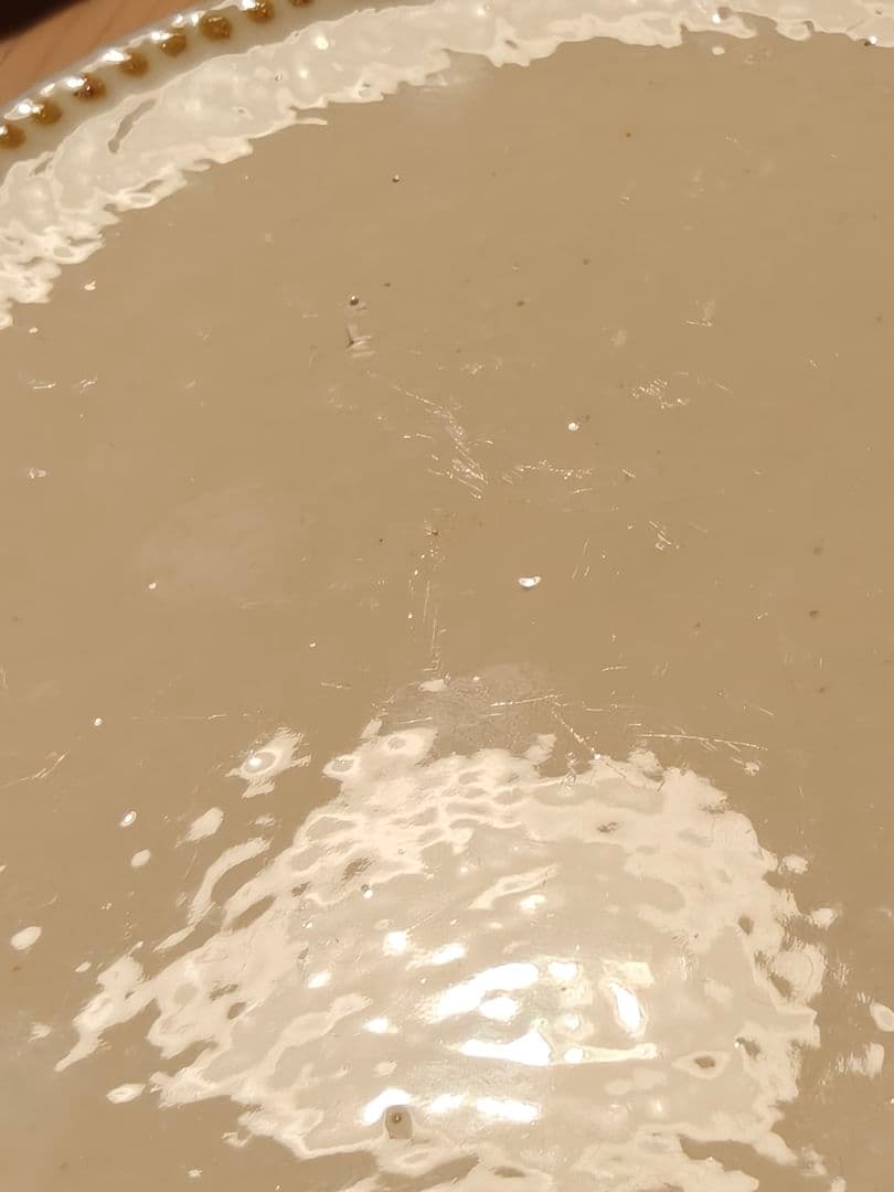 舩木研兒 コーヒー碗皿 カップ&ソーサー　船木　研児