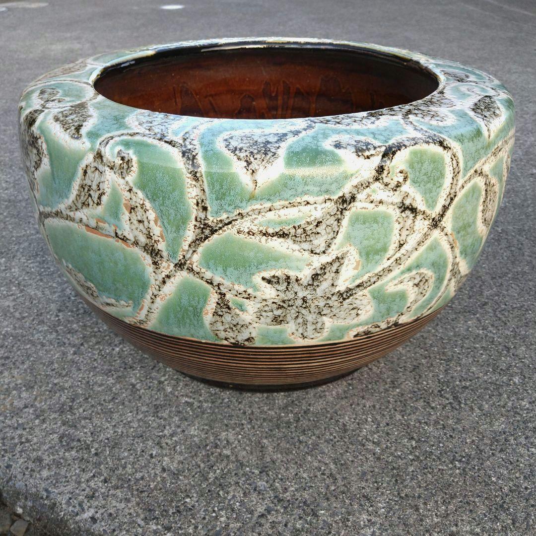 エメラルドグリーン 葉 花 草 火鉢 めだか鉢 金魚鉢