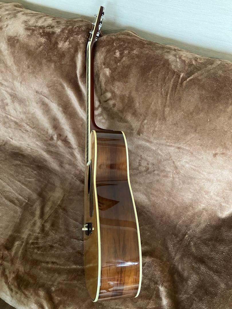 値下げ　MORRIS MF601 スプルース/ハカランダ