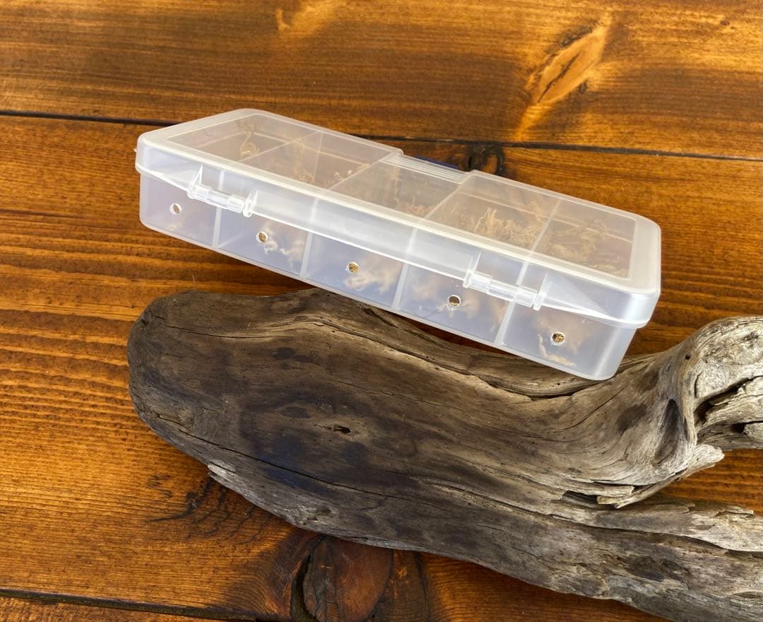 クワガタ採集セット　かき出し棒　採集道具　デジタルノギス　迷彩柄　採集ケース