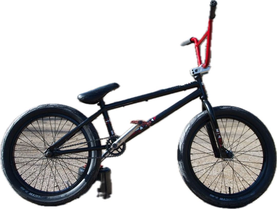 自転車本体 WETHEPEPLE Reason BMX