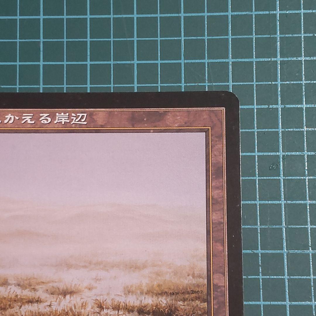 【匿名配送】マジック・ザ・ギャザリング　溢れかえる岸辺　希少