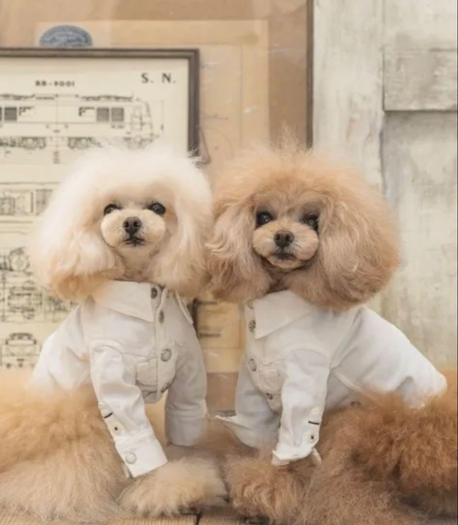 pp closet ホワイトデニムシャツ サイズ34