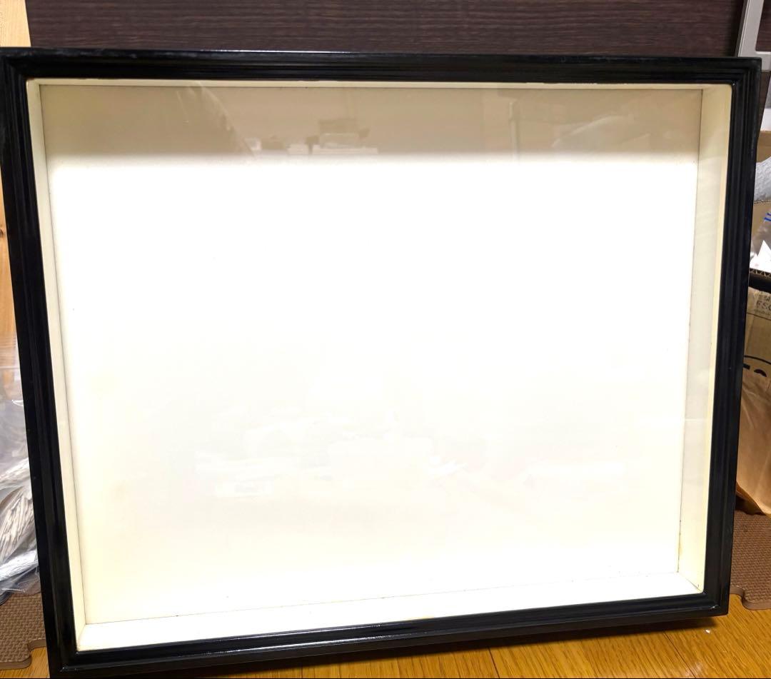 藤本標本用品製　ドイツ箱　標本箱　大型