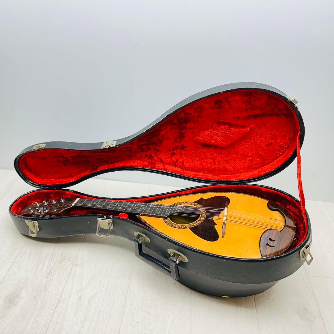 SUZUKI マンドリン　M-218