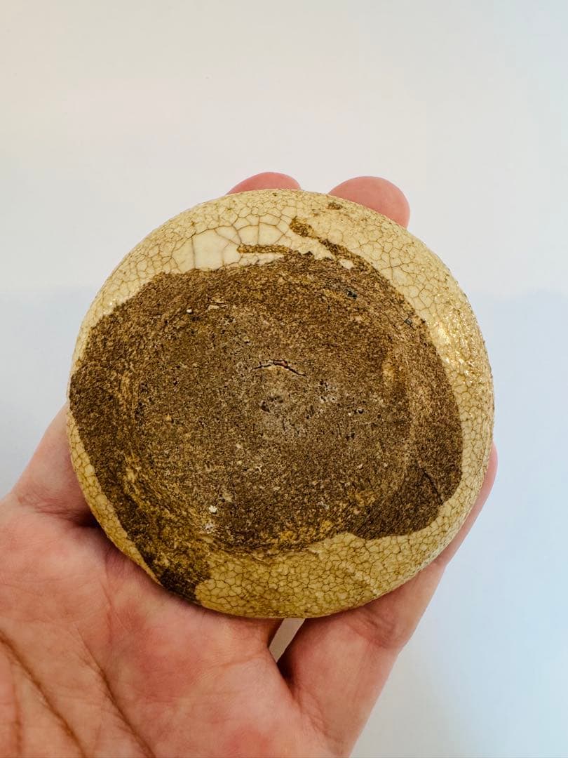 骨董　豆皿　狸・兎・千鳥・富士