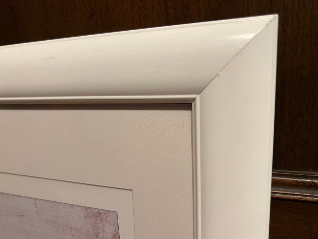 ベルナール ビュッフェ ポピー 額縁 インテリア