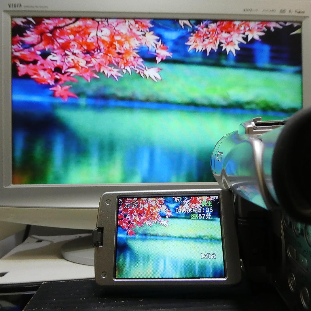 動作良好 キャノン DM-FV M100 MiniDVビデオカメラDVD化に最適