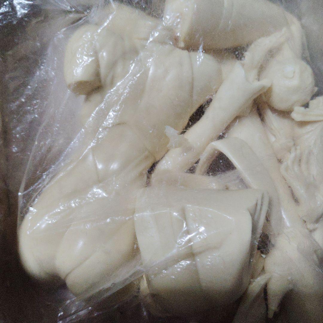 海洋堂　ミスティーメイ2 ガレージキット　ボーメ