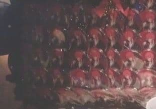 ブルーロック 大正ロマン 缶バッジ 千切豹馬 42個