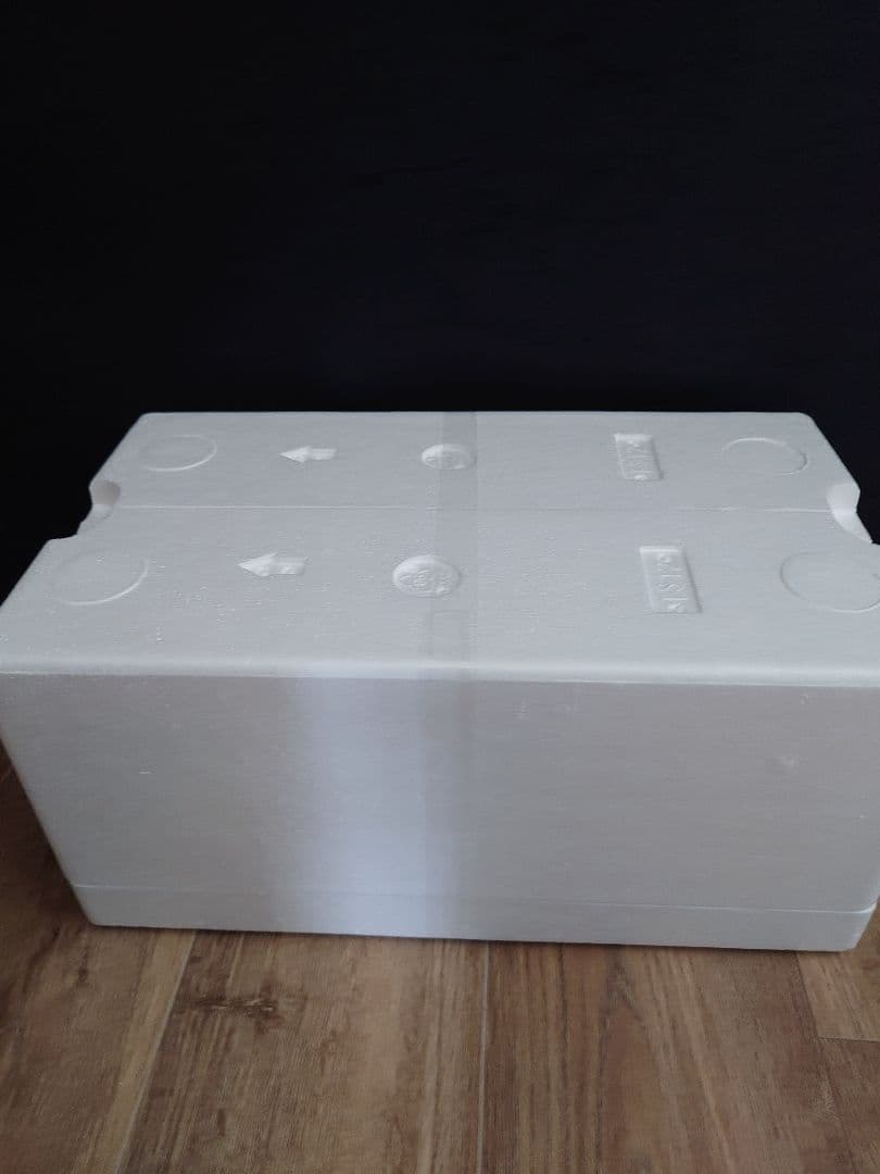 SPARK レッドブル ホンダ RB16B トルコ 1/18