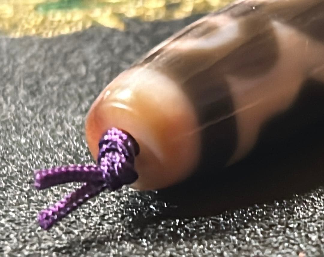 五眼天珠　朱砂あり　ハンドメイド品／送料込　匿名発送／チベット　天珠　お守り