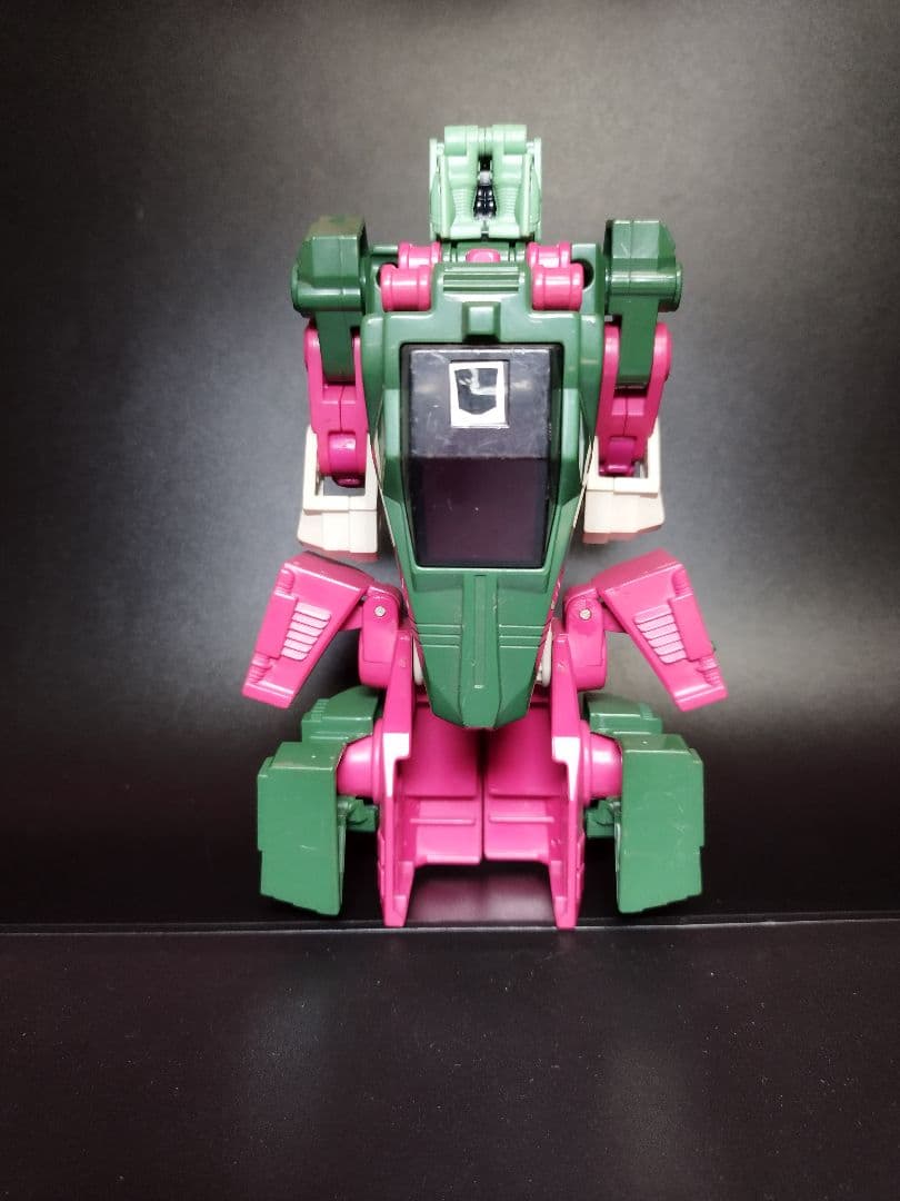 トランスフォーマー　タカラ　ヘッドマスター　D85　 スカル