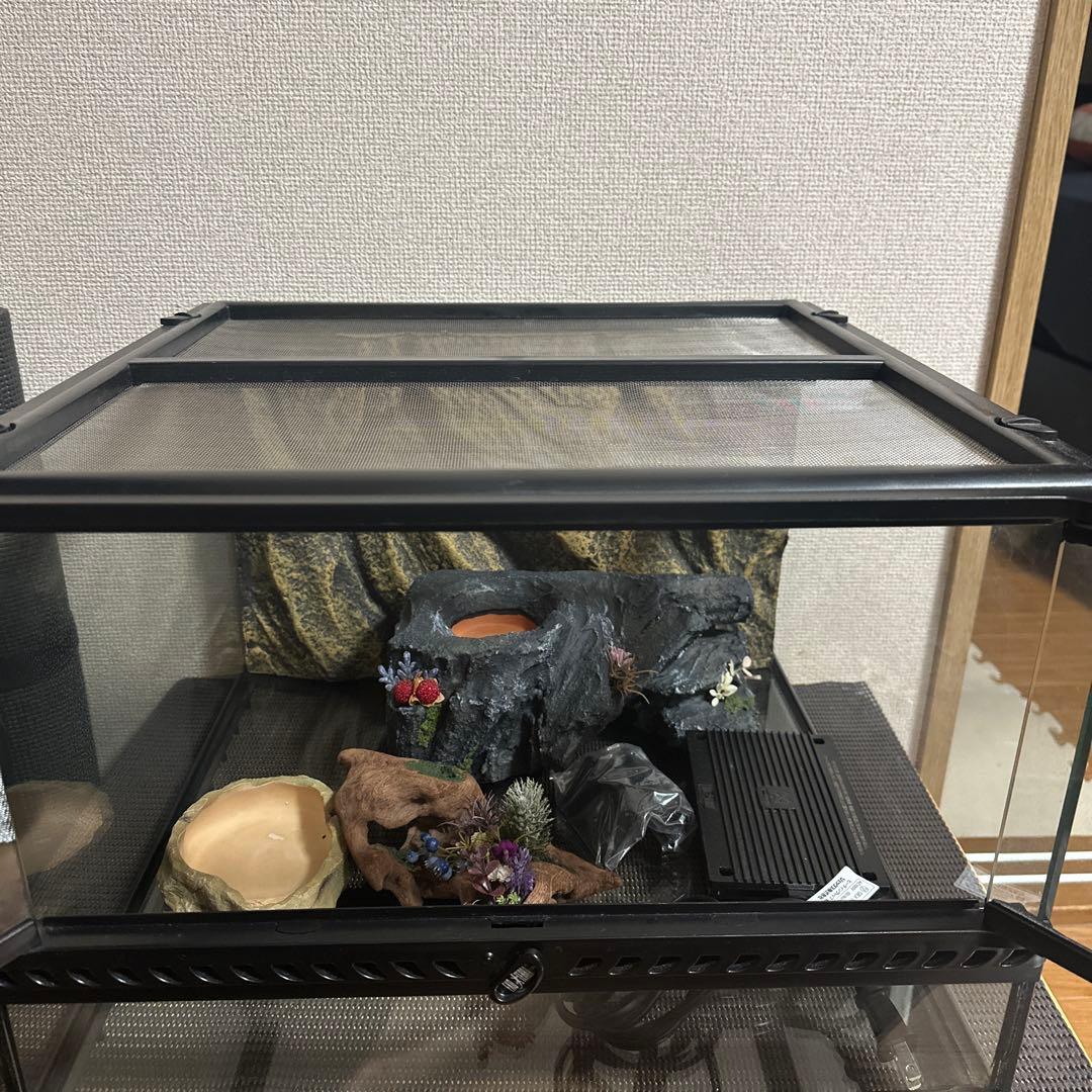 グラステラリウム4530その他飼育用品セット