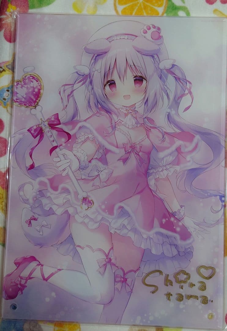 しらたま　しらたまこ　直筆サイン入り　アクリルパネル