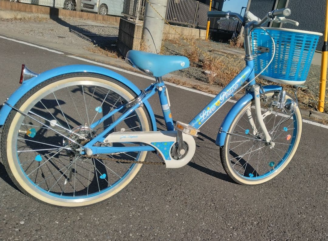 子供用20インチ自転車 青