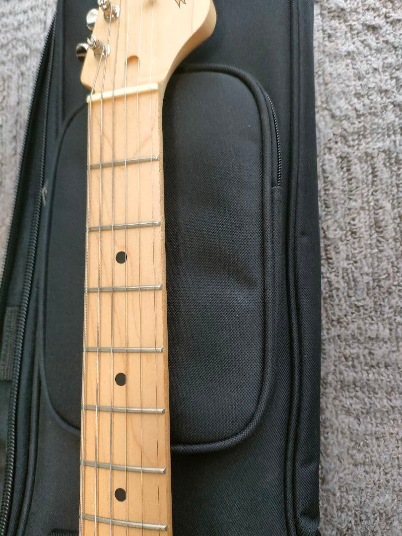 フジゲン　bos-m/tbs/01　フレットは98％残ってます。状態良いです。