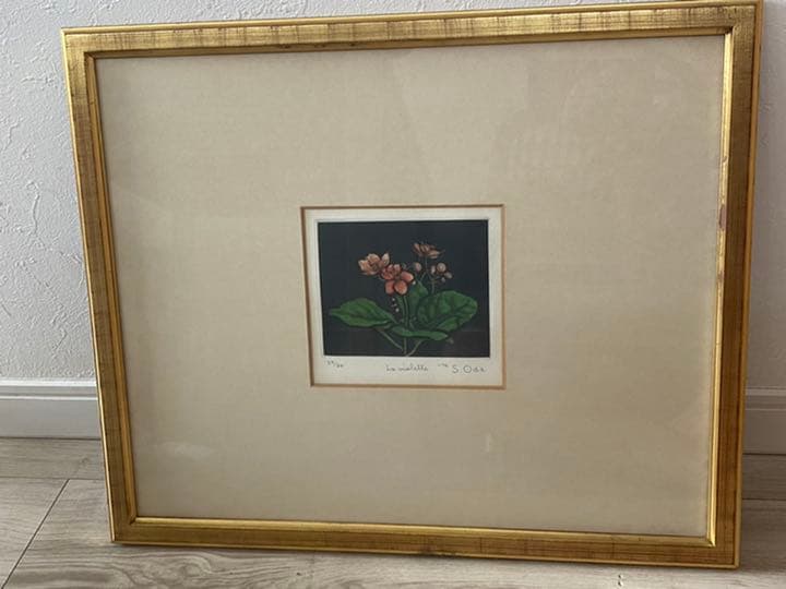 織田 繁　題名　アフリカン　ヴァイオレット　メゾチント　銅版画