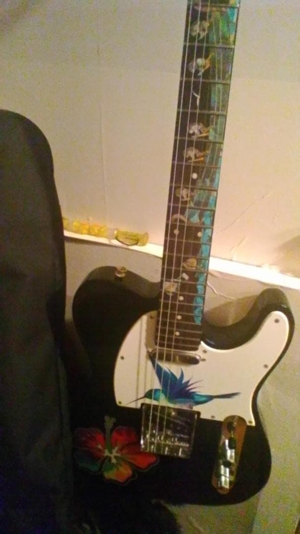 ハワイアン柄インレイ　ハチドリ　ハイビスカス　ギター期間限定新春特価