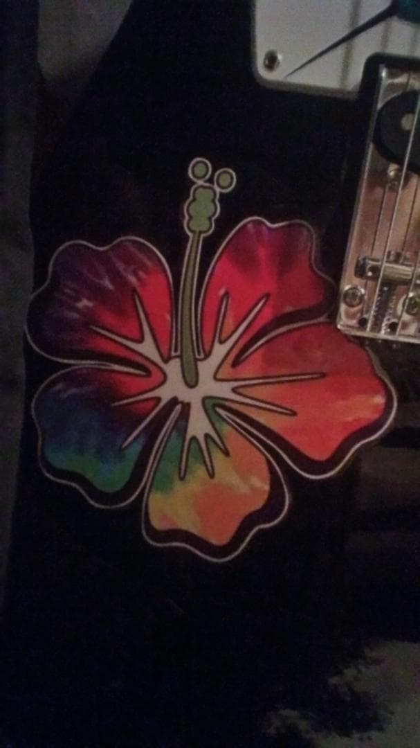 ハワイアン柄インレイ　ハチドリ　ハイビスカス　ギター期間限定新春特価