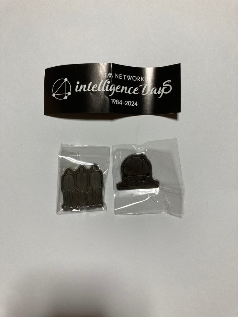 竜*ん様 レア！　TM NETWORK ピンバッジセット 会場限定ガチャ