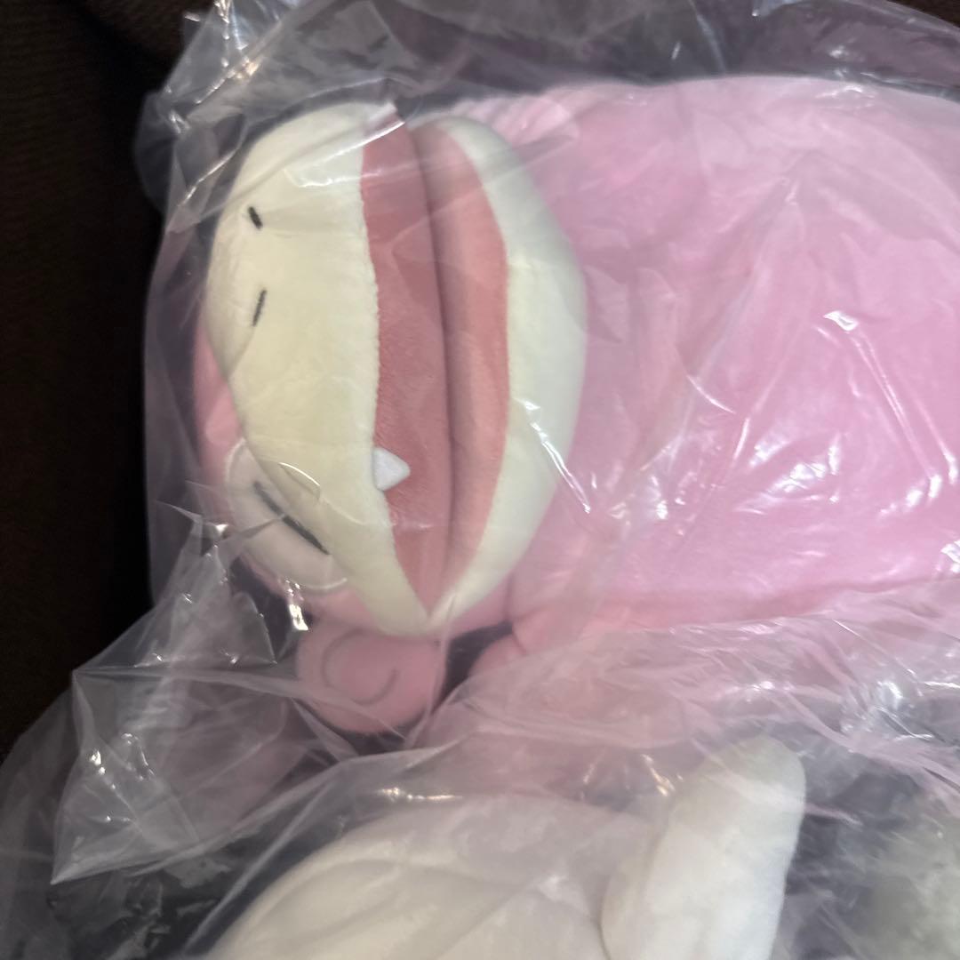 もっちりぬいぐるみPokémonSleep おやすみカラカラ ヤドン　チコリータ