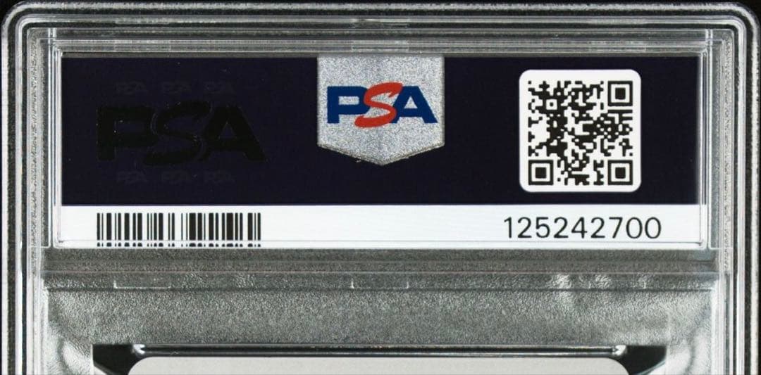 【PSA10】GARDEN 星野絵里香 抱き枕カバー特典カード C75 コミケ