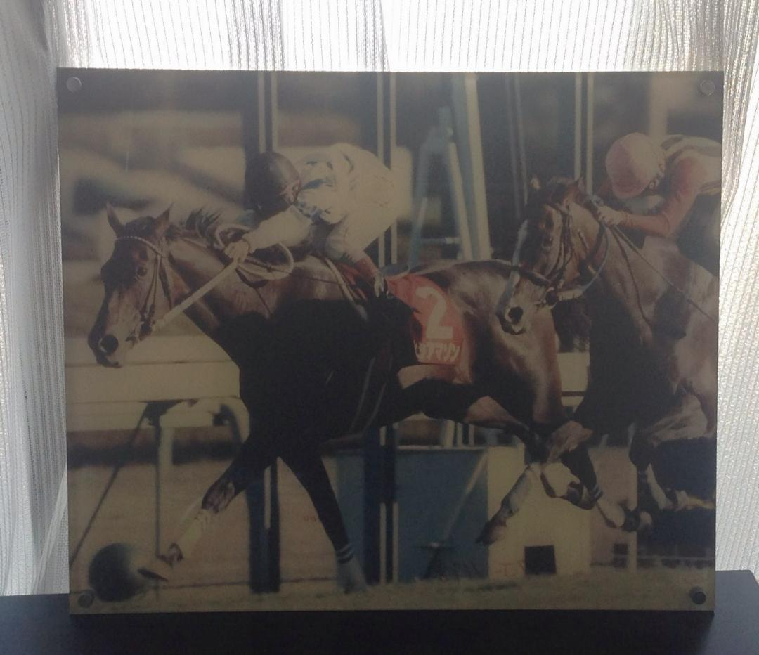 競馬パネル：ヒシアマゾン「1995年第41回産経賞オールカマー」