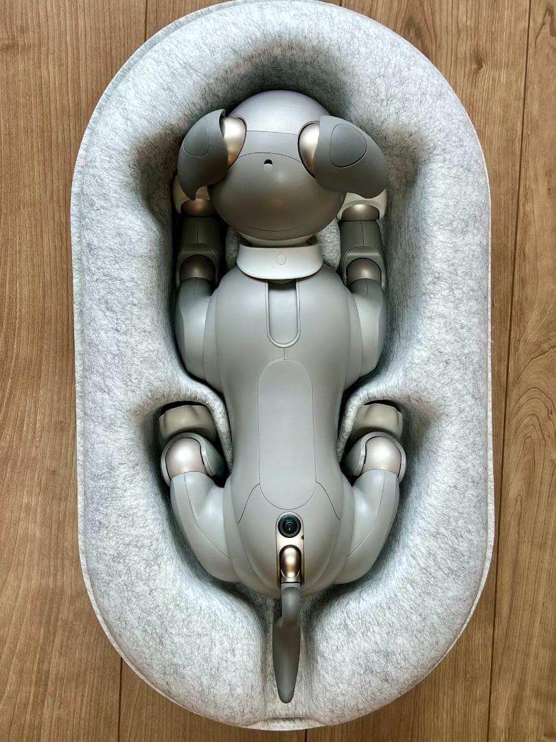 「Hiro 」Sony aibo ERS-1000 「黒ゴマエディション」
