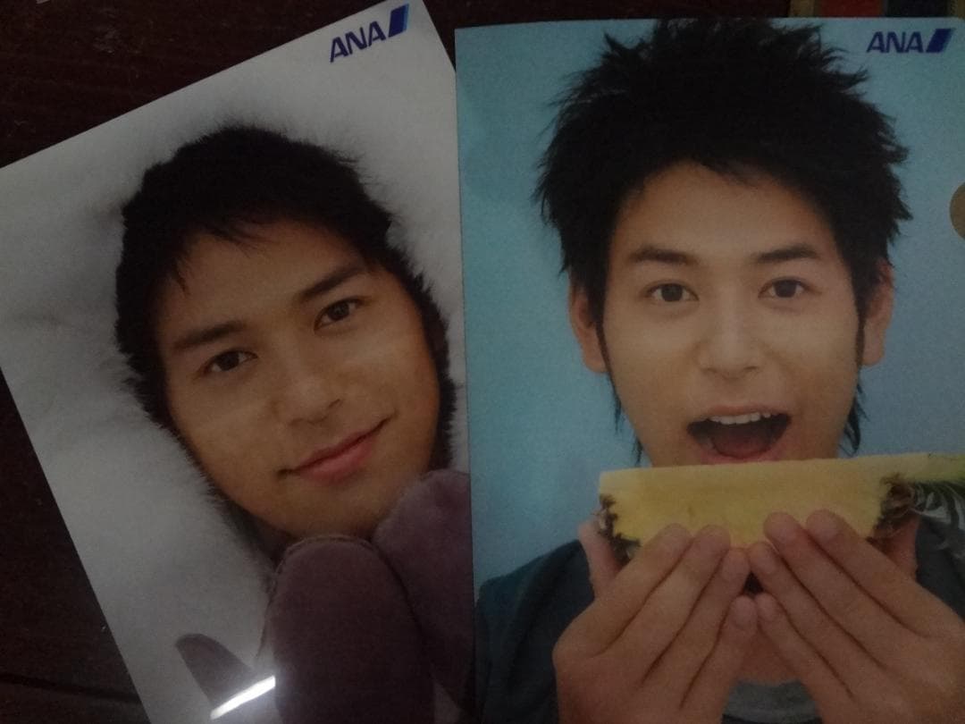 ANAスカイホリデーキャンペーン・妻夫木聡 　非売品クリアファイル 2枚セット