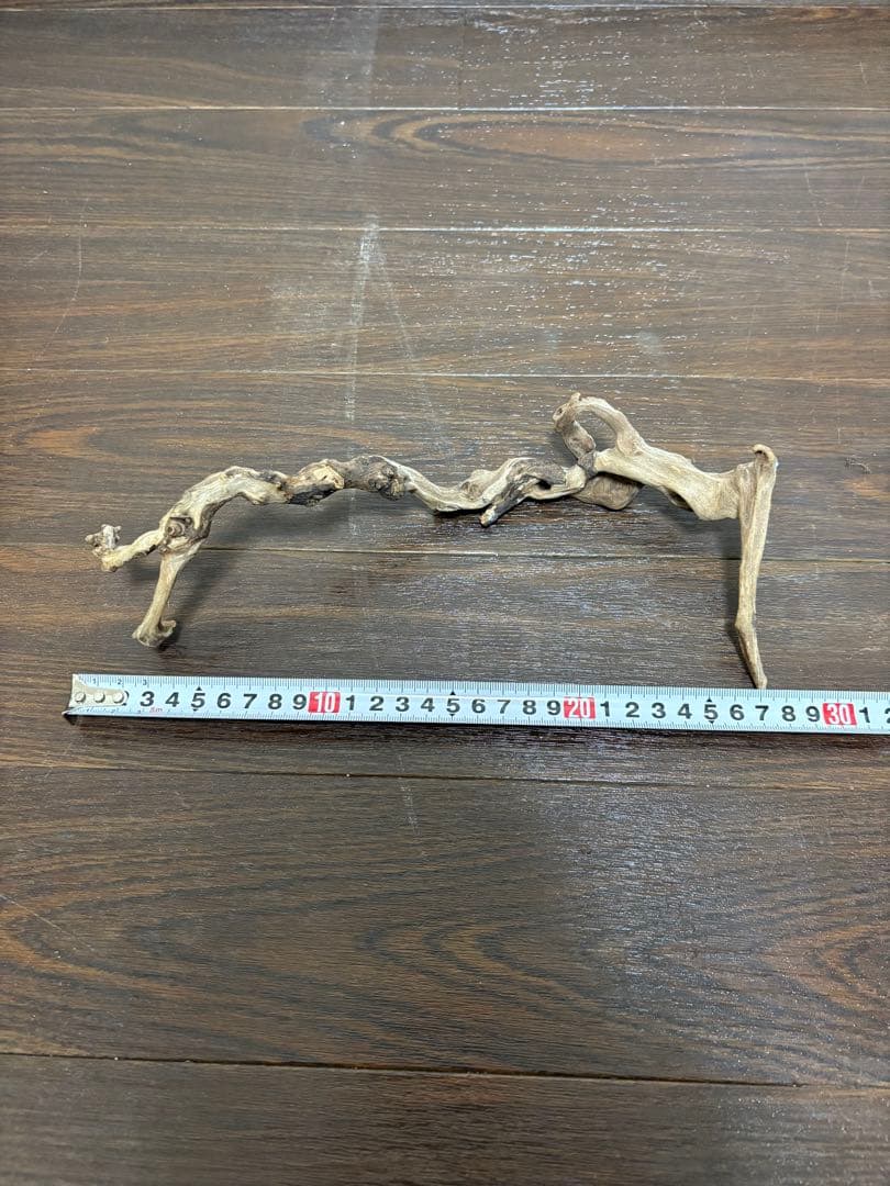 ADA ホーンウッド　7本まとめ売り